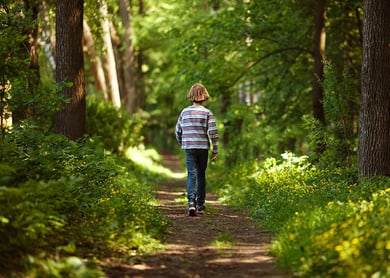 Allow your child to take a nice, safe, walk in the woods by themselves under supervision.