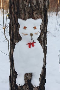 Cat snow animal on a pine tree